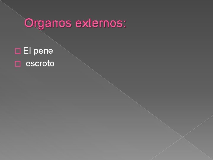 Organos externos: � El pene � escroto 