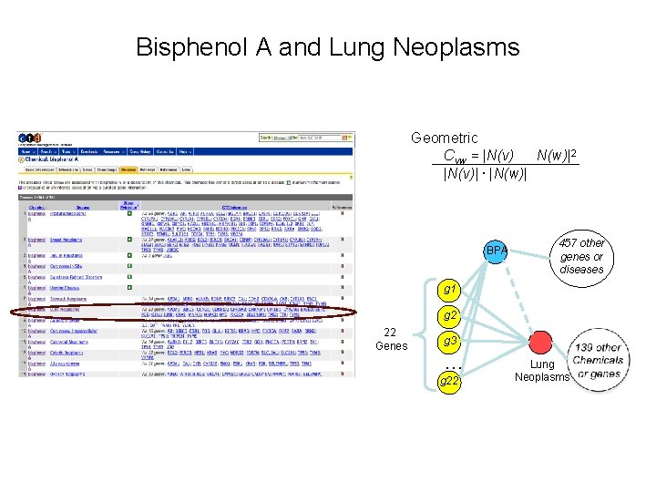 Bisphenol A and Lung Neoplasms Geometric Cvw = |N(v) N(w)|2 |N(v)|. |N(w)| BPA 457