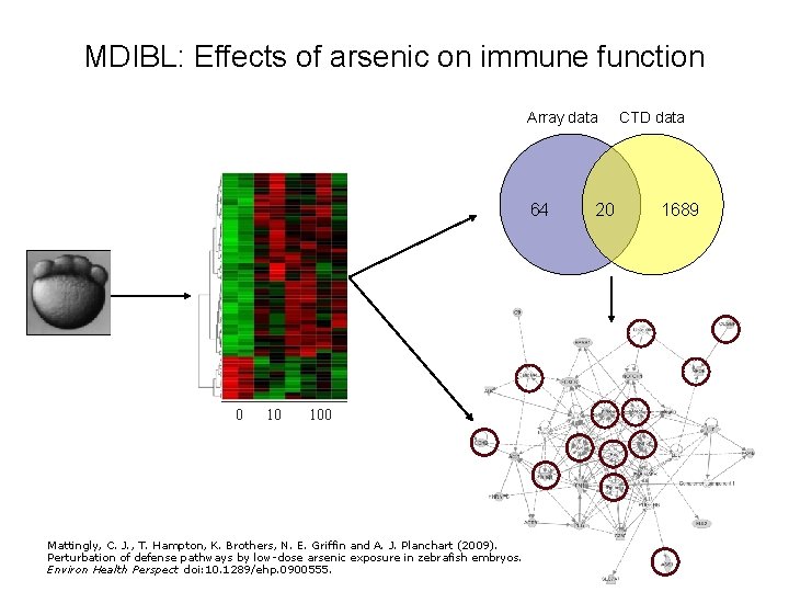 MDIBL: Effects of arsenic on immune function Array data 64 0 10 100 Mattingly,