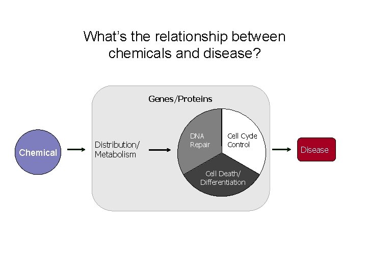 What’s the relationship between chemicals and disease? Genes/Proteins Chemical Distribution/ Metabolism DNA Repair Cell