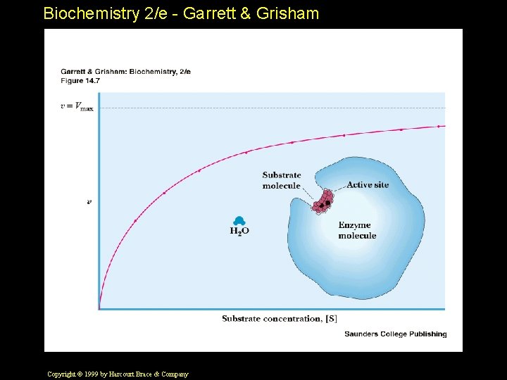 Biochemistry 2/e - Garrett & Grisham Copyright © 1999 by Harcourt Brace & Company