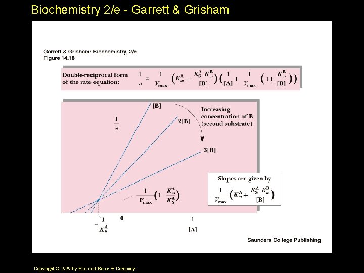 Biochemistry 2/e - Garrett & Grisham Copyright © 1999 by Harcourt Brace & Company