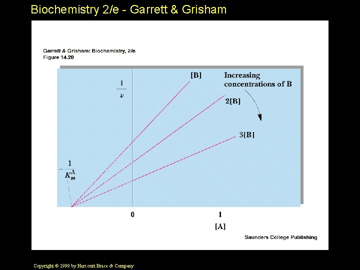 Biochemistry 2/e - Garrett & Grisham Copyright © 1999 by Harcourt Brace & Company