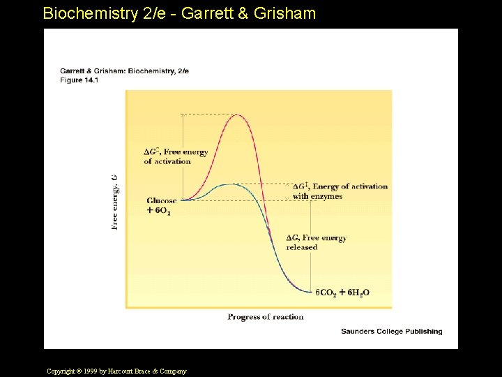 Biochemistry 2/e - Garrett & Grisham Copyright © 1999 by Harcourt Brace & Company