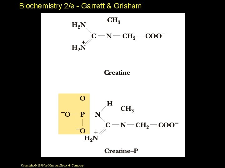 Biochemistry 2/e - Garrett & Grisham Copyright © 1999 by Harcourt Brace & Company