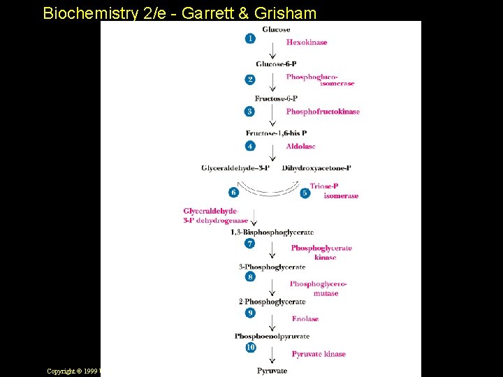 Biochemistry 2/e - Garrett & Grisham Copyright © 1999 by Harcourt Brace & Company