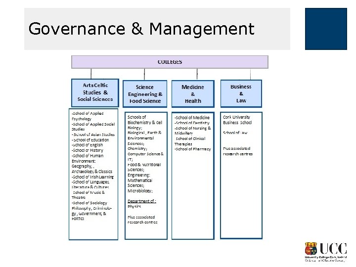 Governance & Management 