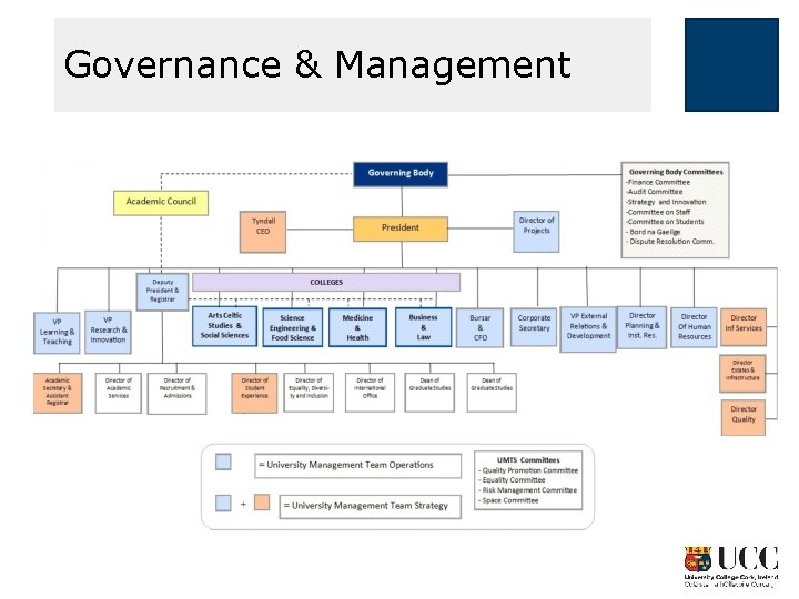 Governance & Management 