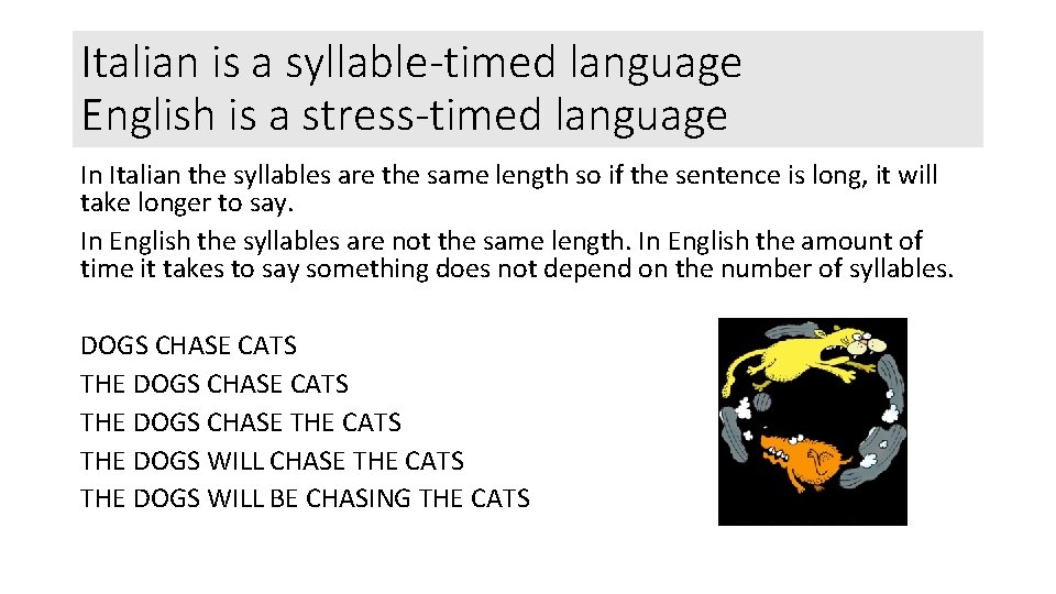 Italian is a syllable-timed language English is a stress-timed language In Italian the syllables