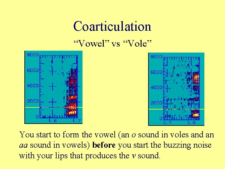 Coarticulation “Vowel” vs “Vole” You start to form the vowel (an o sound in