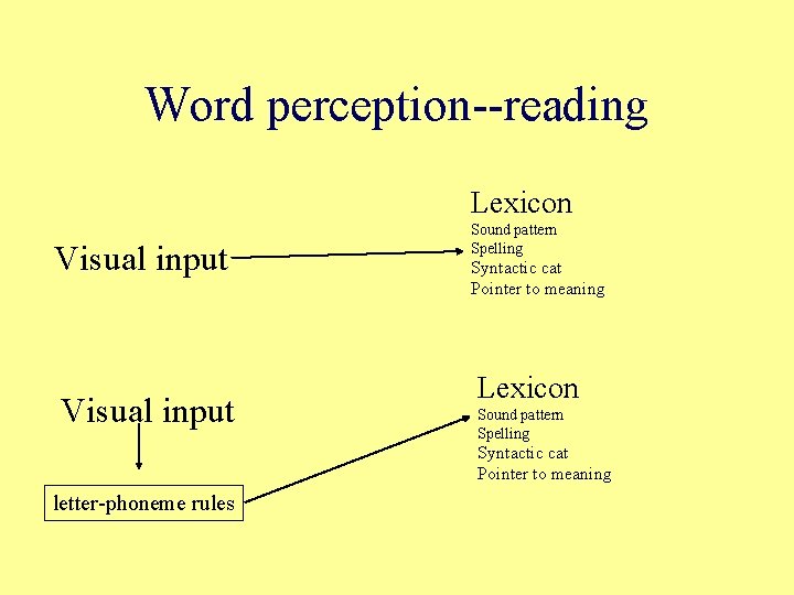 Word perception--reading Lexicon Visual input Sound pattern Spelling Syntactic cat Pointer to meaning Lexicon