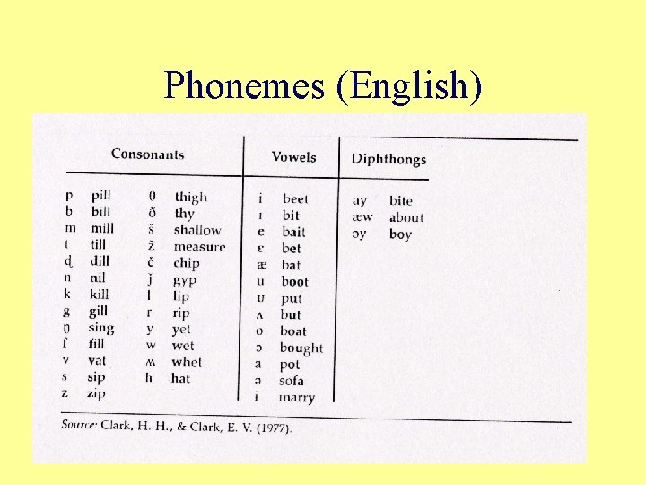 Phonemes (English) 