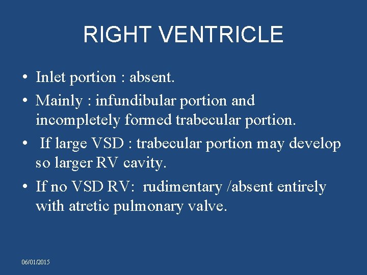 RIGHT VENTRICLE • Inlet portion : absent. • Mainly : infundibular portion and incompletely