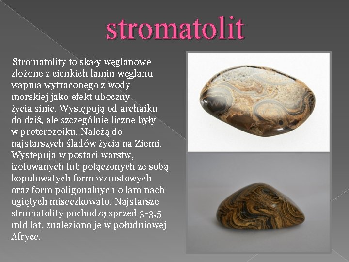 stromatolit Stromatolity to skały węglanowe złożone z cienkich lamin węglanu wapnia wytrąconego z wody