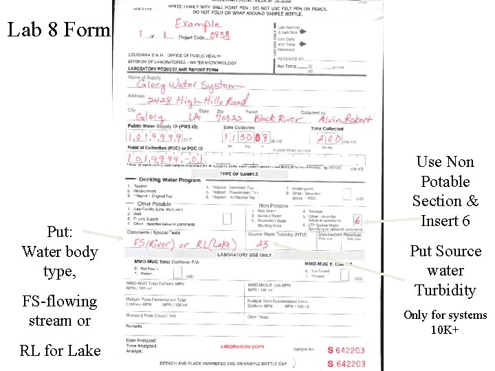 Lab 8 Form Put: Water body type, FS-flowing stream or RL for Lake Use
