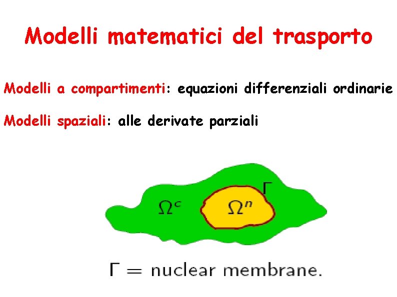 Modelli matematici del trasporto Modelli a compartimenti: equazioni differenziali ordinarie Modelli spaziali: alle derivate