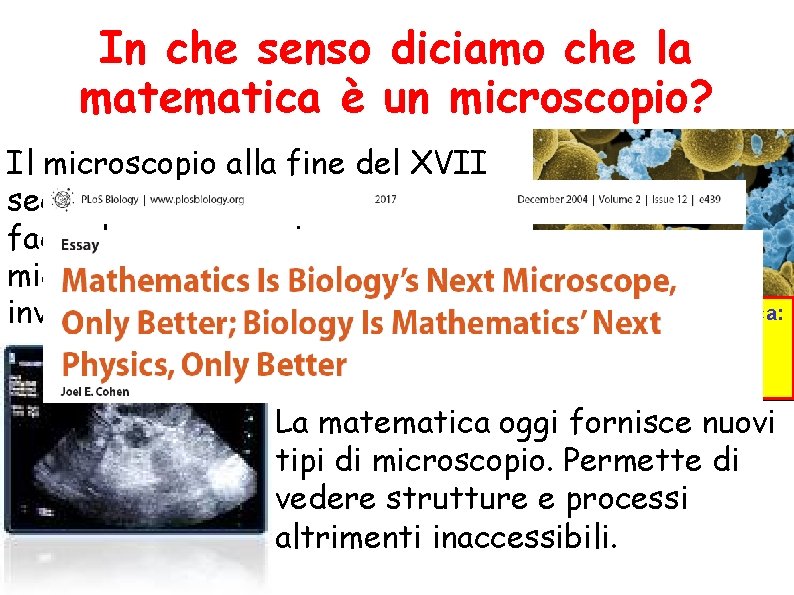 In che senso diciamo che la matematica è un microscopio? Il microscopio alla fine