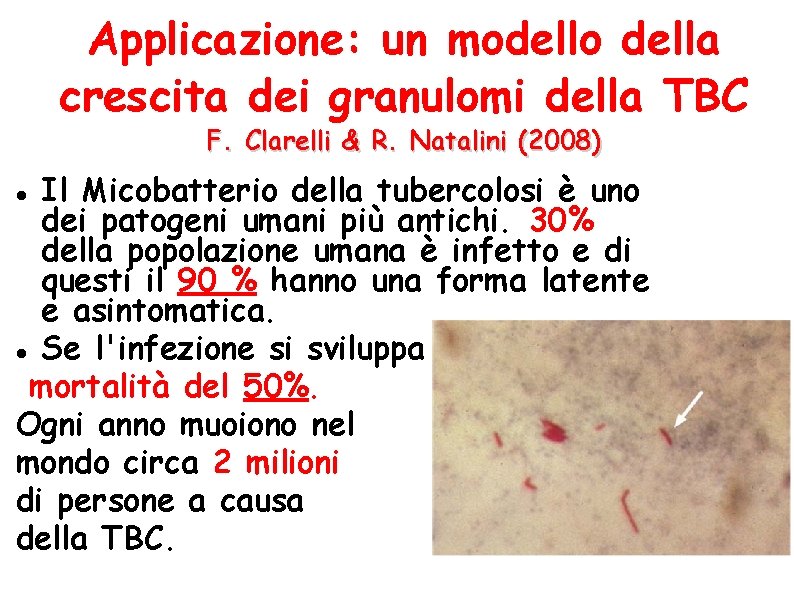 Applicazione: un modello della crescita dei granulomi della TBC F. Clarelli & R. Natalini
