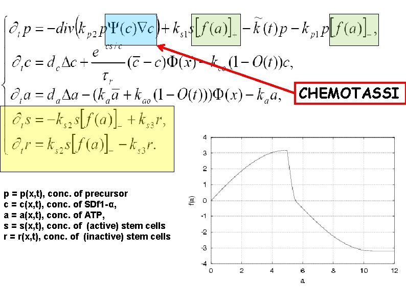 CHEMOTASSI p = p(x, t), conc. of precursor c = c(x, t), conc. of