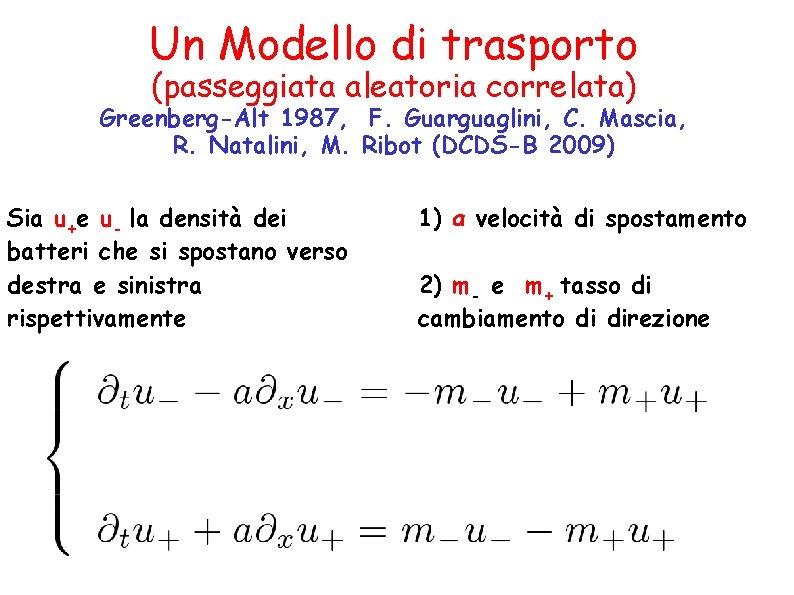 Un Modello di trasporto (passeggiata aleatoria correlata) Greenberg-Alt 1987, F. Guarguaglini, C. Mascia, R.