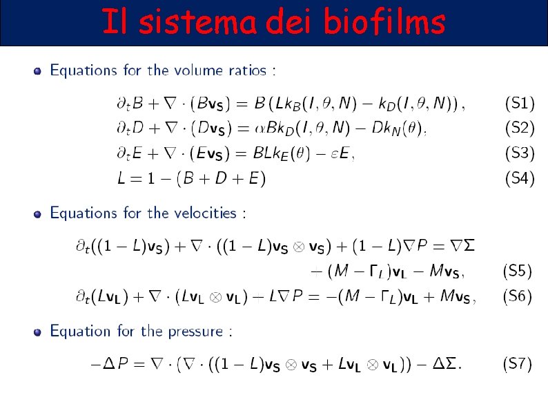 Il sistema dei biofilms 