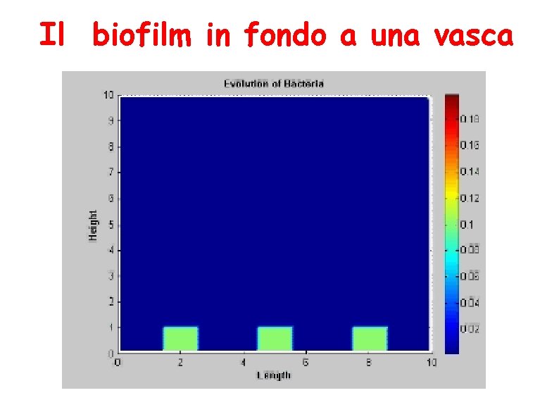 Il biofilm in fondo a una vasca 