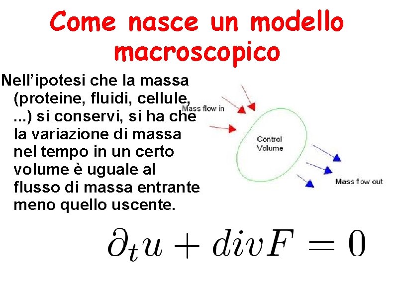 Come nasce un modello macroscopico Nell’ipotesi che la massa (proteine, fluidi, cellule, . .