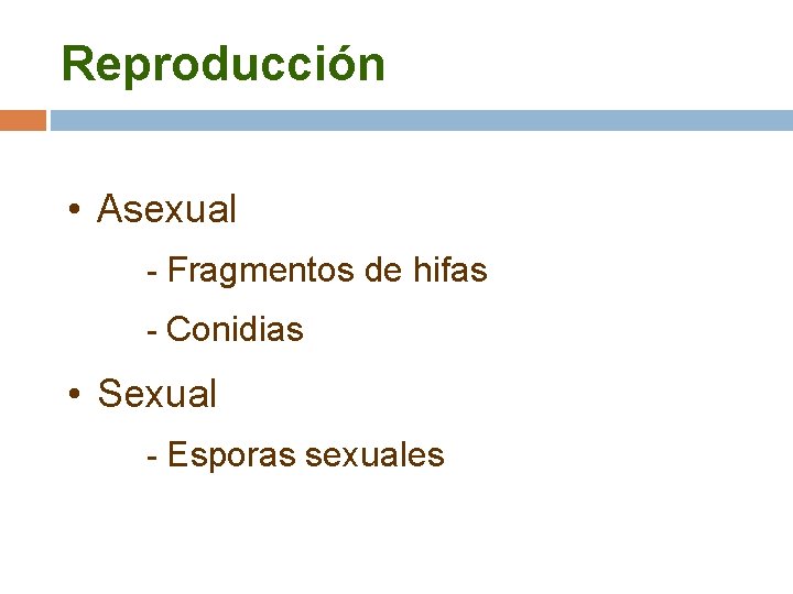 Reproducción • Asexual - Fragmentos de hifas - Conidias • Sexual - Esporas sexuales