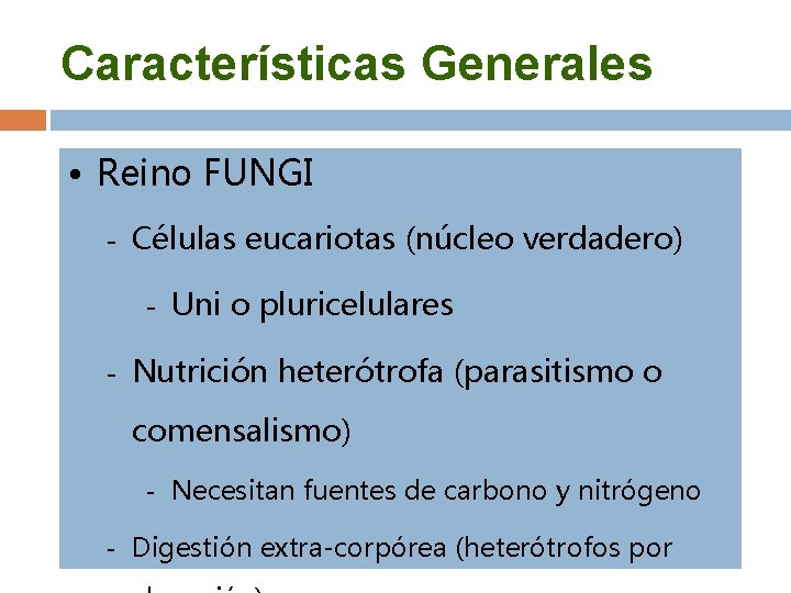 Características Generales • Reino FUNGI - Células eucariotas (núcleo verdadero) - Uni o pluricelulares