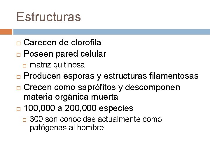 Estructuras Carecen de clorofila Poseen pared celular matriz quitinosa Producen esporas y estructuras filamentosas