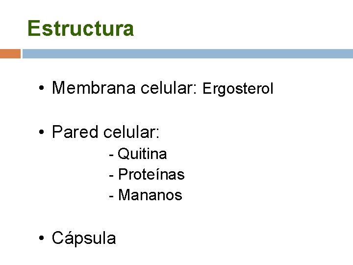 Estructura • Membrana celular: Ergosterol • Pared celular: - Quitina - Proteínas - Mananos