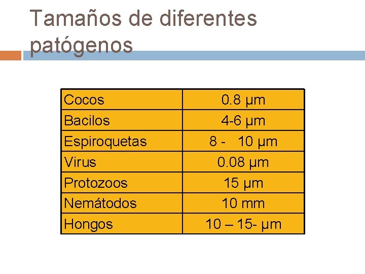 Tamaños de diferentes patógenos Cocos Bacilos Espiroquetas Virus Protozoos Nemátodos Hongos 0. 8 µm
