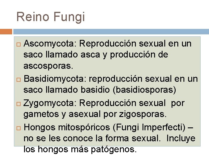 Reino Fungi Ascomycota: Reproducción sexual en un saco llamado asca y producción de ascosporas.