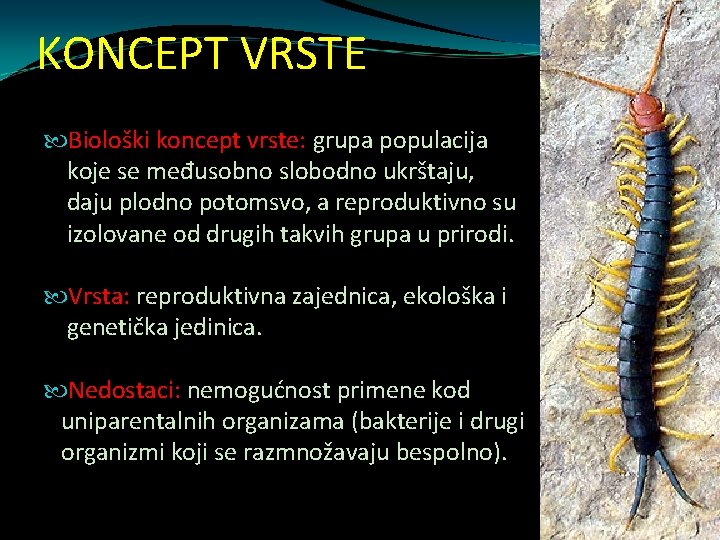 KONCEPT VRSTE Biološki koncept vrste: grupa populacija koje se međusobno slobodno ukrštaju, daju plodno