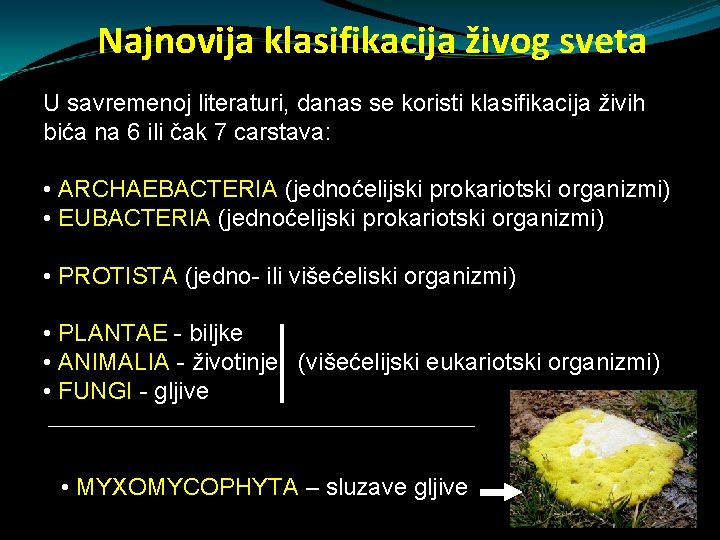 Najnovija klasifikacija živog sveta U savremenoj literaturi, danas se koristi klasifikacija živih bića na