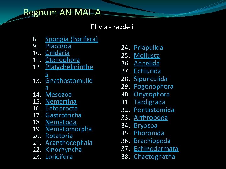 Regnum ANIMALIA Phyla - razdeli 8. 9. 10. 11. 12. 13. 14. 15. 16.