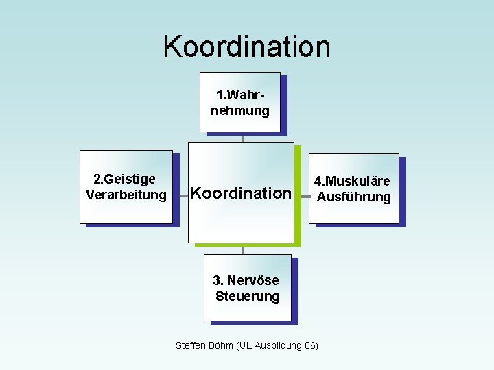 Koordination 1. Wahrnehmung 2. Geistige Verarbeitung Koordination 4. Muskuläre Ausführung 3. Nervöse Steuerung Steffen