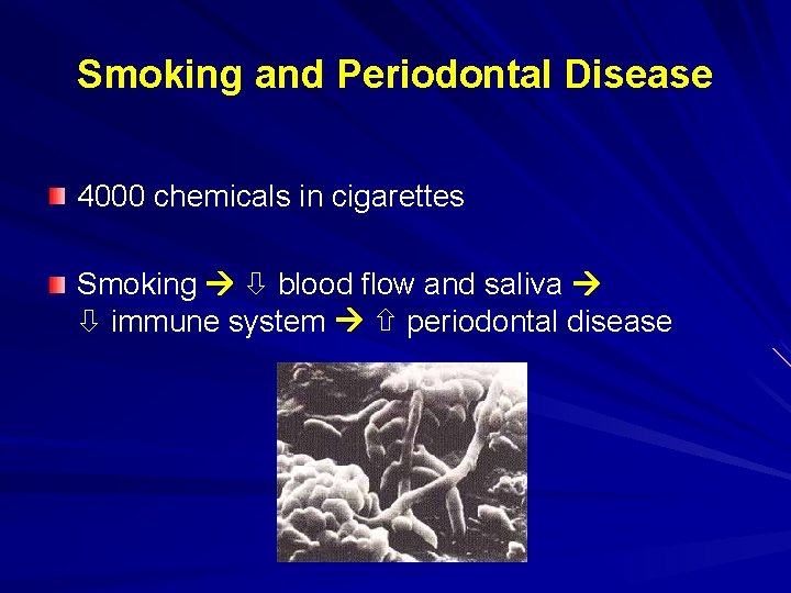 Smoking and Periodontal Disease 4000 chemicals in cigarettes Smoking blood flow and saliva immune