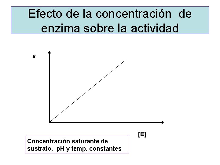 Efecto de la concentración de enzima sobre la actividad v [E] Concentración saturante de
