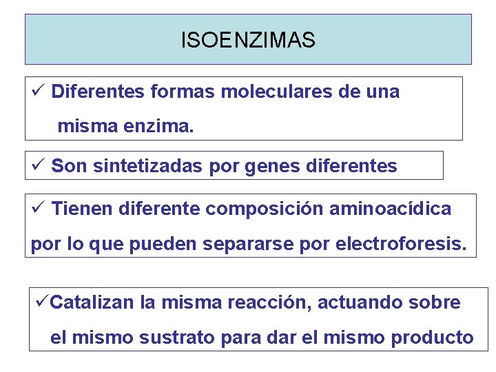 ISOENZIMAS ü Diferentes formas moleculares de una misma enzima. ü Son sintetizadas por genes