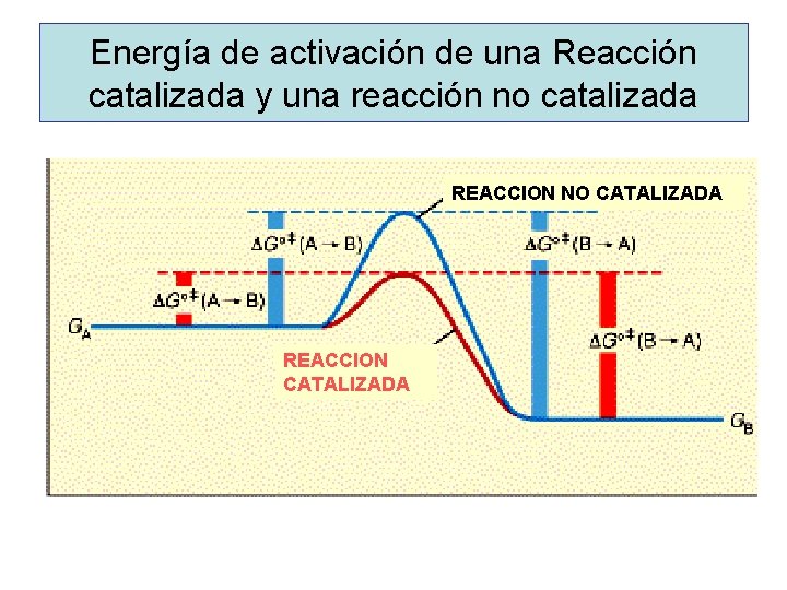 Energía de activación de una Reacción catalizada y una reacción no catalizada REACCION NO