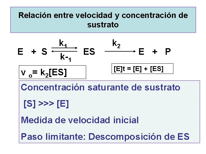 Relación entre velocidad y concentración de sustrato k 1 k 2 E + S