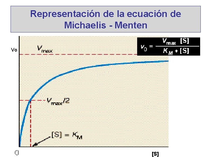 Representación de la ecuación de Michaelis - Menten Vo [S] 