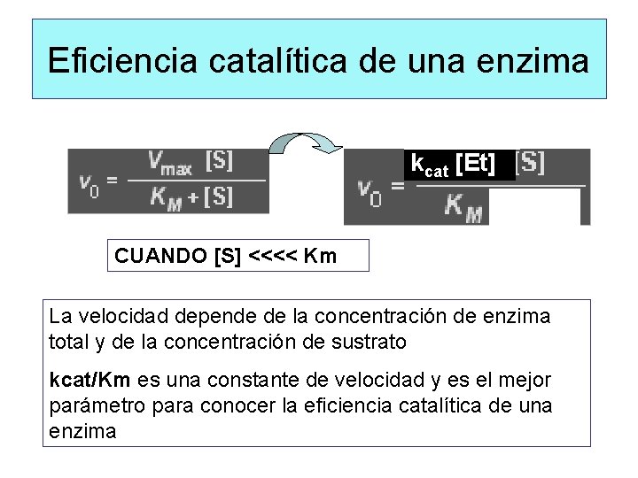 Eficiencia catalítica de una enzima Vmáx = kcat [Et] CUANDO [S] <<<< Km La
