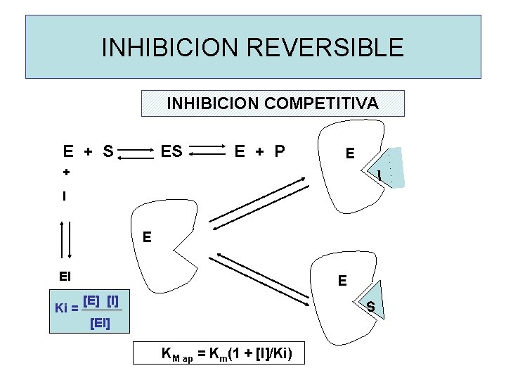 INHIBICION REVERSIBLE INHIBICION COMPETITIVA E + S ES E + P E + I