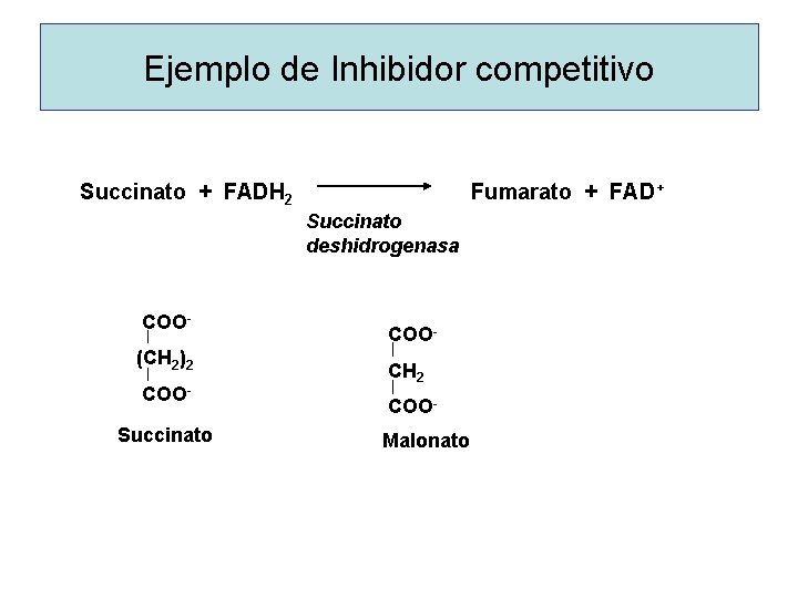 Ejemplo de Inhibidor competitivo Succinato + FADH 2 Fumarato + FAD + Succinato deshidrogenasa