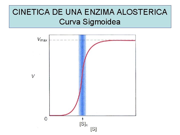 CINETICA DE UNA ENZIMA ALOSTERICA Curva Sigmoidea 
