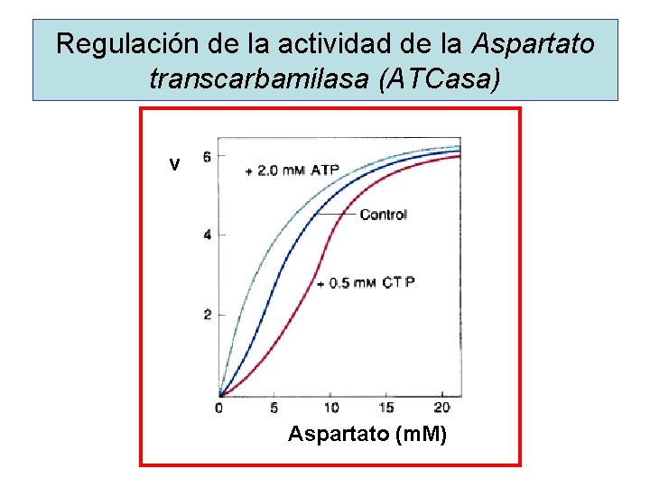 Regulación de la actividad de la Aspartato transcarbamilasa (ATCasa) v Aspartato (m. M) 