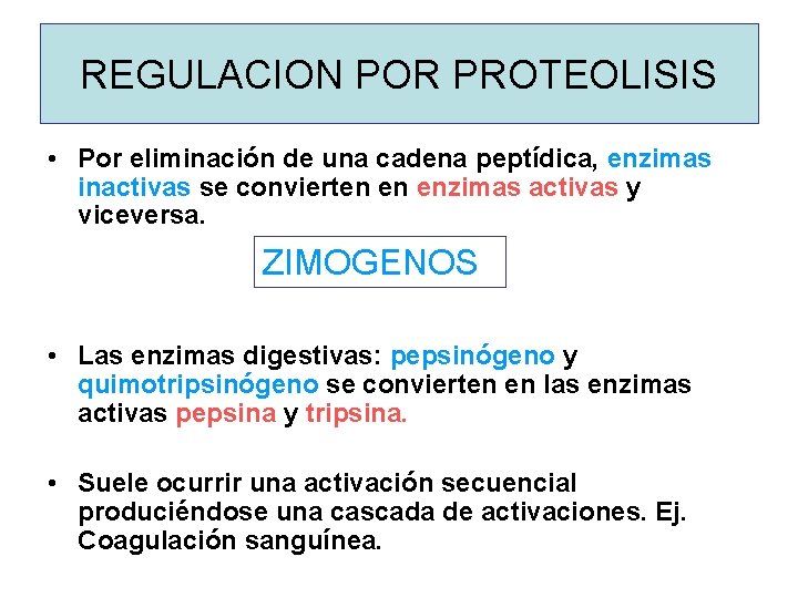 REGULACION POR PROTEOLISIS • Por eliminación de una cadena peptídica, enzimas inactivas se convierten