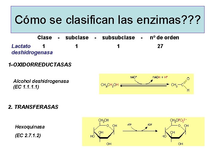 Cómo se clasifican las enzimas? ? ? Clase - subclase - subsubclase - nº